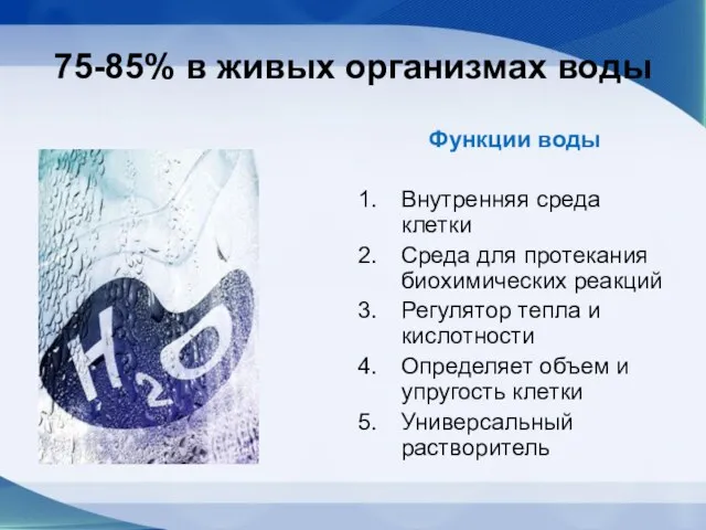 75-85% в живых организмах воды Функции воды Внутренняя среда клетки Среда для