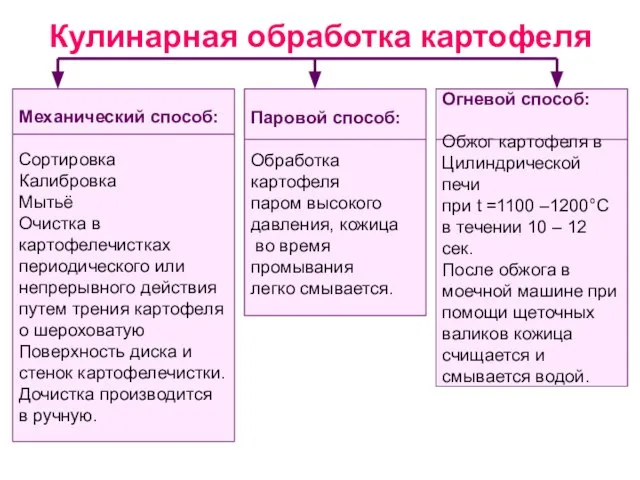 Кулинарная обработка картофеля Огневой способ: Обжог картофеля в Цилиндрической печи при t