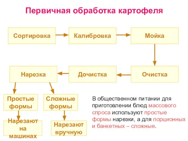 Первичная обработка картофеля Сортировка Нарезка Очистка Мойка Калибровка Дочистка Нарезают на машинах