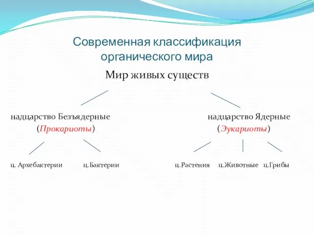 Современная классификация органического мира Мир живых существ надцарство Безъядерные надцарство Ядерные (Прокариоты)