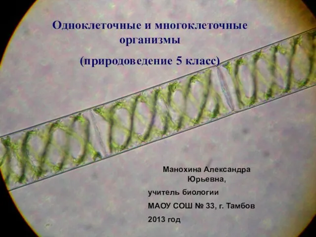 Презентация на тему Одноклеточные и многоклеточные организмы