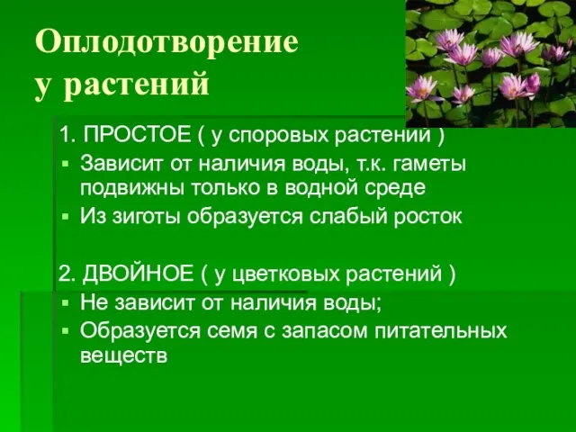 Оплодотворение у растений 1. ПРОСТОЕ ( у споровых растений ) Зависит от