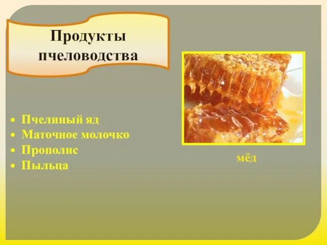 Продукты пчеловодства мёд Пчелиный яд Маточное молочко Прополис Пыльца