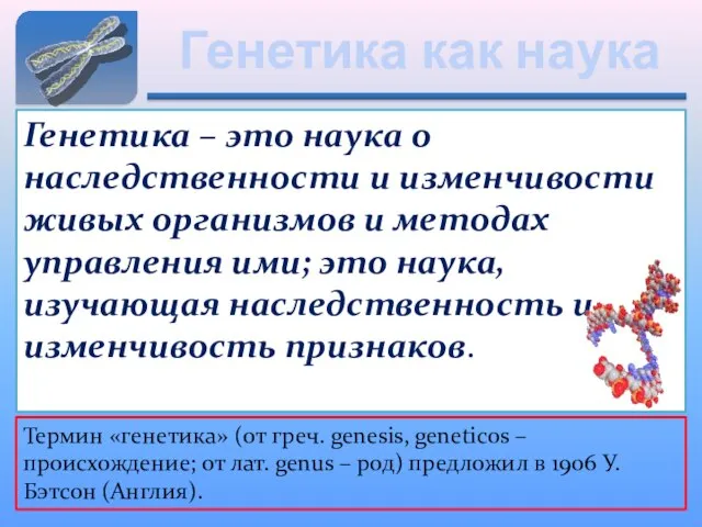 Генетика как наука Генетика – это наука о наследственности и изменчивости живых