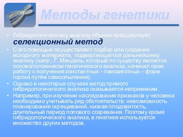 Методы генетики Гибридологическому анализу обычно предшествует селекционный метод. С его помощью осуществляют