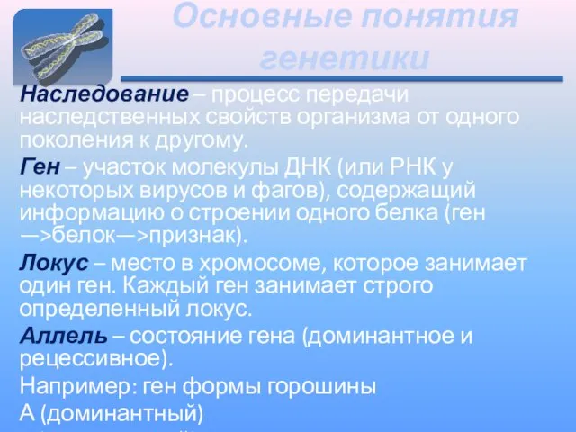 Основные понятия генетики Наследование – процесс передачи наследственных свойств организма от одного