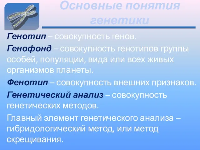 Основные понятия генетики Генотип – совокупность генов. Генофонд – совокупность генотипов группы