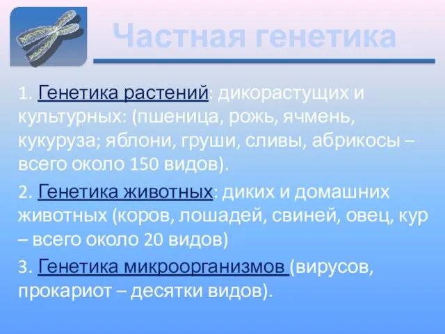 Частная генетика 1. Генетика растений: дикорастущих и культурных: (пшеница, рожь, ячмень, кукуруза;