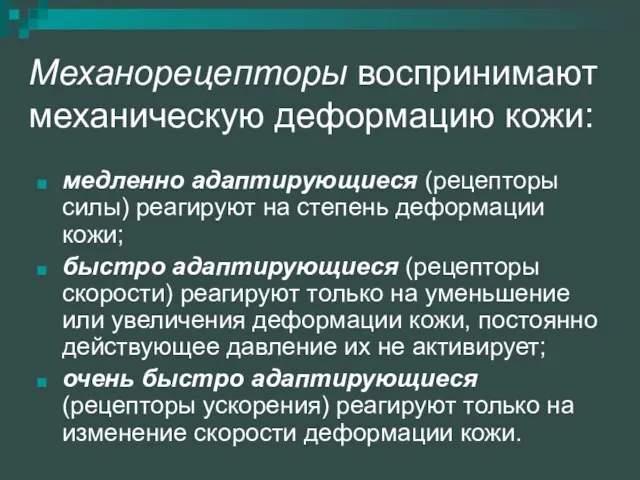 Механорецепторы воспринимают механическую деформацию кожи: медленно адаптирующиеся (рецепторы силы) реагируют на степень