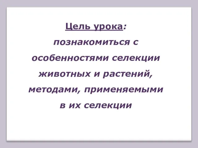 Цель урока: познакомиться с особенностями селекции животных и растений, методами, применяемыми в их селекции