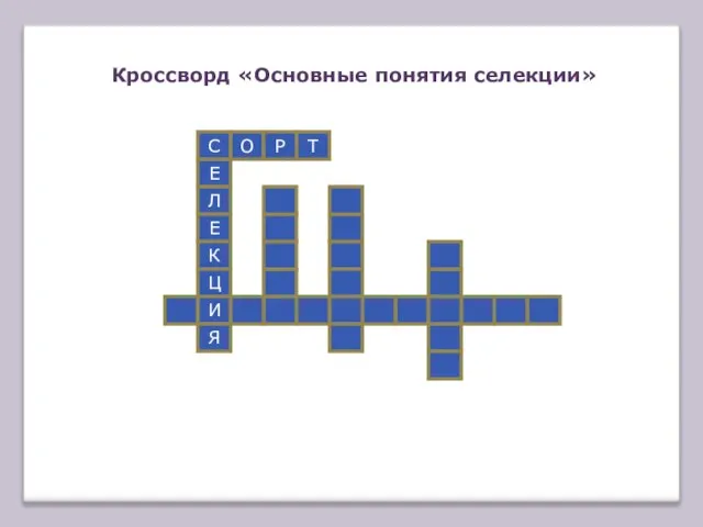 Кроссворд «Основные понятия селекции» С Е Л Е К Ц И Я О Р Т