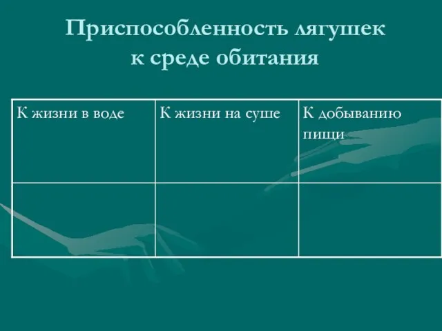 Приспособленность лягушек к среде обитания