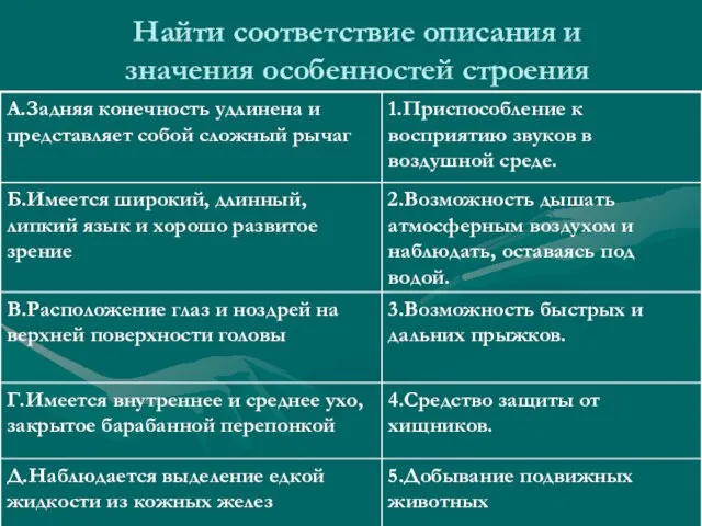 Найти соответствие описания и значения особенностей строения