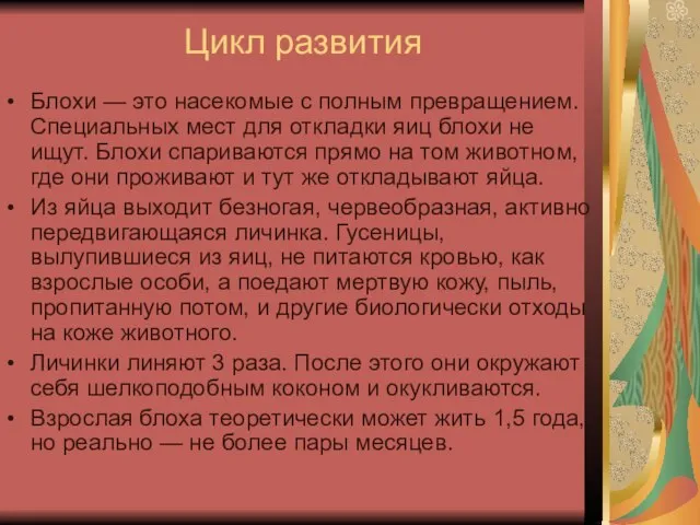 Цикл развития Блохи — это насекомые с полным превращением. Специальных мест для