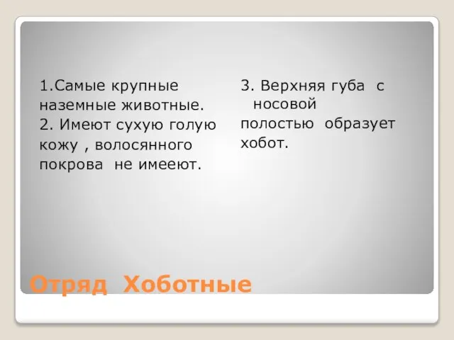 Отряд Хоботные 1.Самые крупные наземные животные. 2. Имеют сухую голую кожу ,