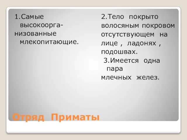 Отряд Приматы 1.Самые высокоорга- низованные млекопитающие. 2.Тело покрыто волосяным покровом отсутствующем на