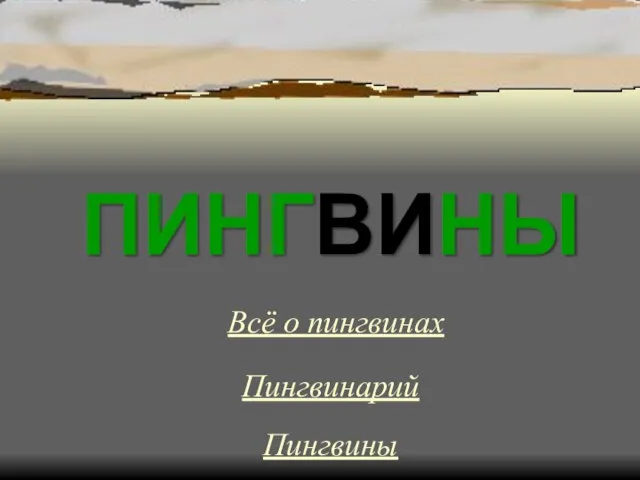 Презентация на тему ПИНГВИНЫ