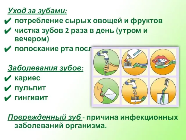 Уход за зубами: потребление сырых овощей и фруктов чистка зубов 2 раза