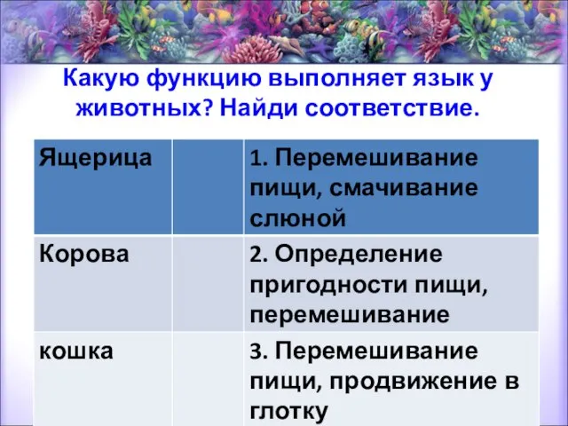 Какую функцию выполняет язык у животных? Найди соответствие.