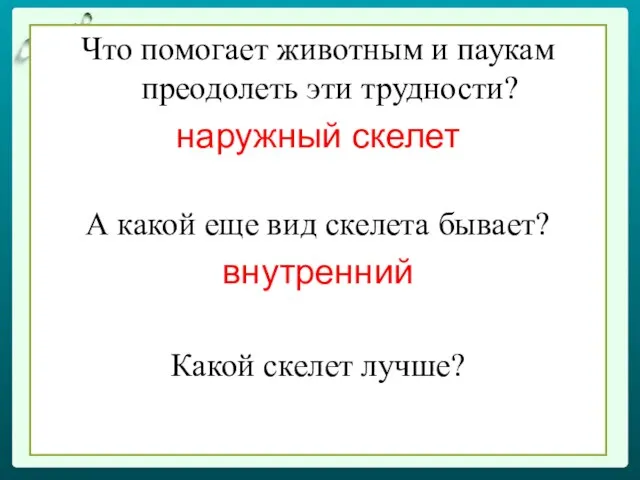 Что помогает животным и паукам преодолеть эти трудности? наружный скелет А какой