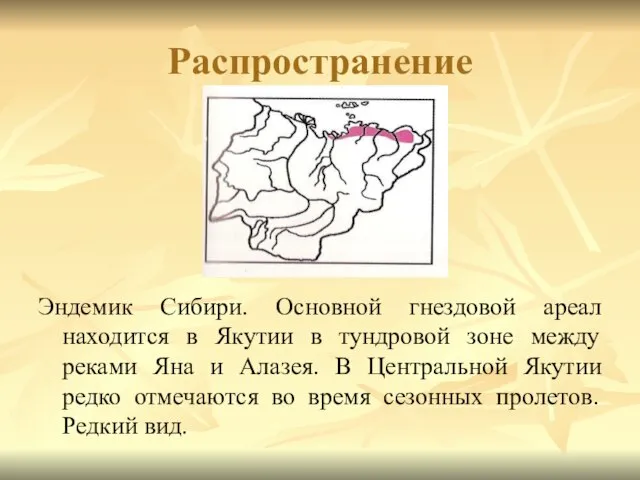 Распространение Эндемик Сибири. Основной гнездовой ареал находится в Якутии в тундровой зоне
