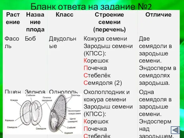 Бланк ответа на задание №2