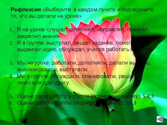 Рефлексия «Выберите в каждом пункте и подчеркните то, что вы делали на