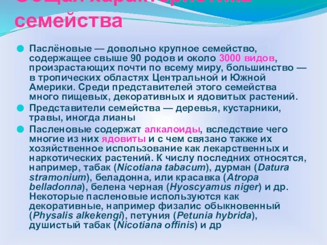 Общая характеристика семейства Паслёновые — довольно крупное семейство, содержащее свыше 90 родов