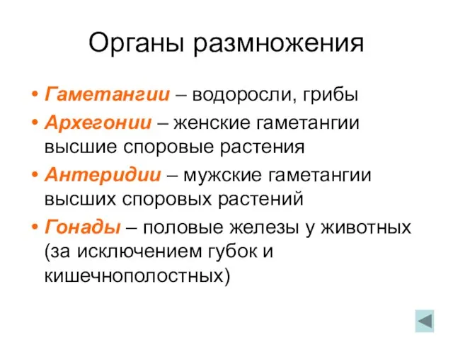 Органы размножения Гаметангии – водоросли, грибы Архегонии – женские гаметангии высшие споровые