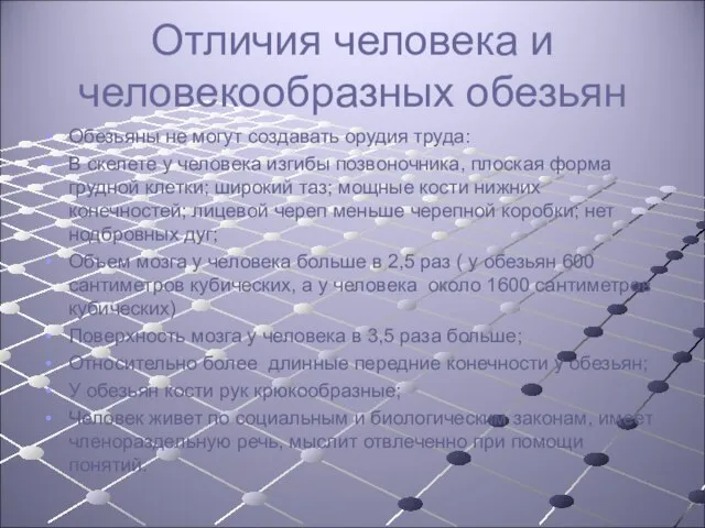 Отличия человека и человекообразных обезьян Обезьяны не могут создавать орудия труда: В