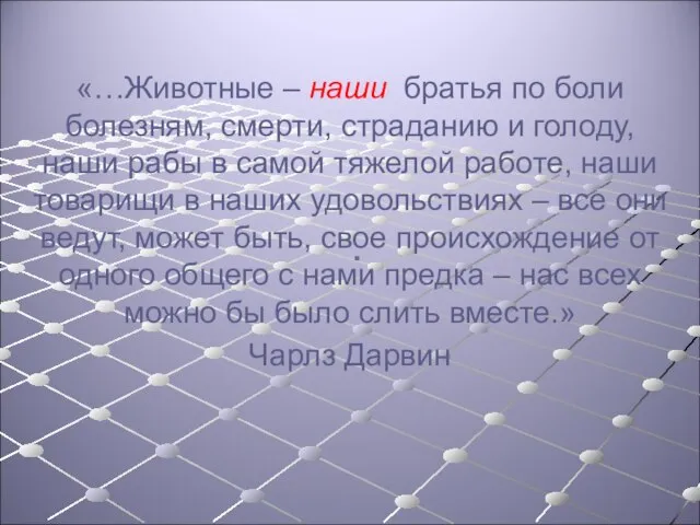 . «…Животные – наши братья по боли болезням, смерти, страданию и голоду,