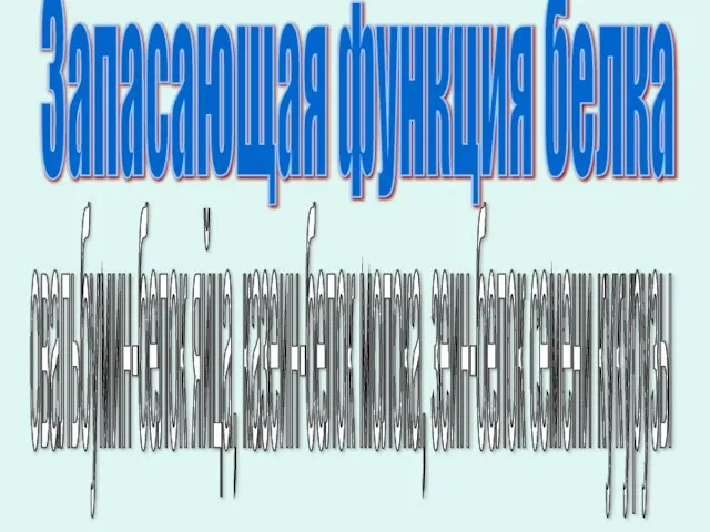 овальбумин-белок яйца, казеин-белок молока, зеин-белок семени кукурузы Запасающая функция белка