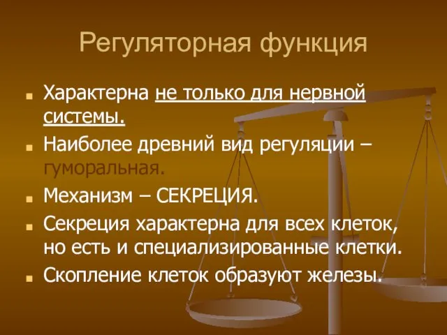 Регуляторная функция Характерна не только для нервной системы. Наиболее древний вид регуляции