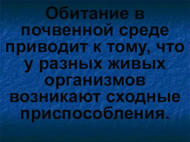 Обитание в почвенной среде приводит к тому, что у разных живых организмов возникают сходные приспособления.