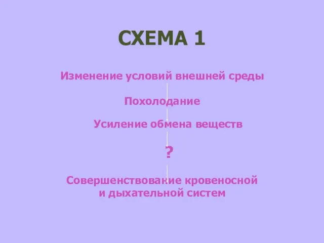 СХЕМА 1 Изменение условий внешней среды Похолодание Усиление обмена веществ ? Совершенствование кровеносной и дыхательной систем