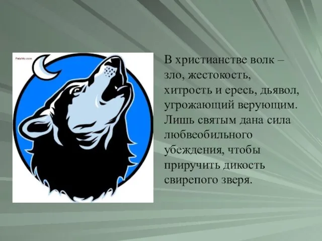 В христианстве волк – зло, жестокость, хитрость и ересь, дьявол, угрожающий верующим.