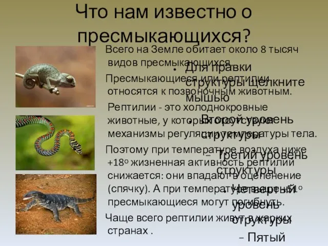 Что нам известно о пресмыкающихся? Всего на Земле обитает около 8 тысяч