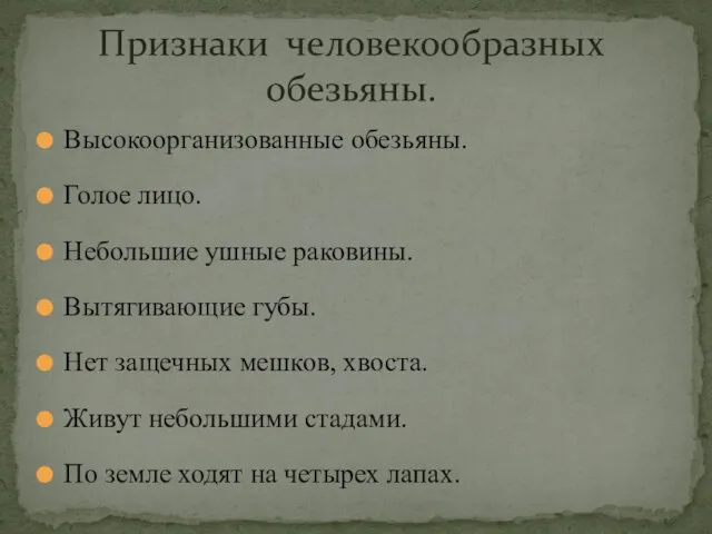 Высокоорганизованные обезьяны. Голое лицо. Небольшие ушные раковины. Вытягивающие губы. Нет защечных мешков,