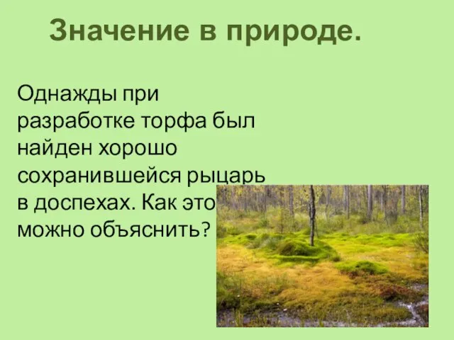 Однажды при разработке торфа был найден хорошо сохранившейся рыцарь в доспехах. Как