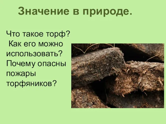 Значение в природе. Что такое торф? Как его можно использовать? Почему опасны пожары торфяников?