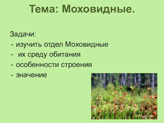 Тема: Моховидные. Задачи: изучить отдел Моховидные их среду обитания особенности строения значение