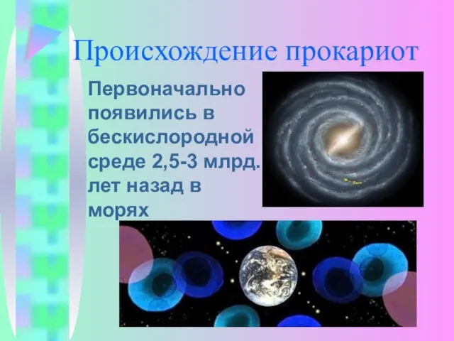 Происхождение прокариот Первоначально появились в бескислородной среде 2,5-3 млрд. лет назад в морях