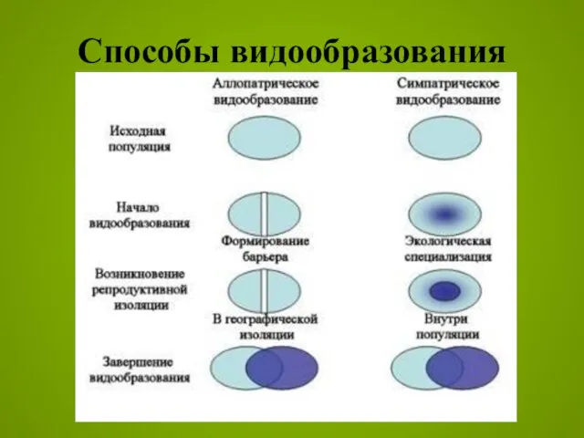 Способы видообразования