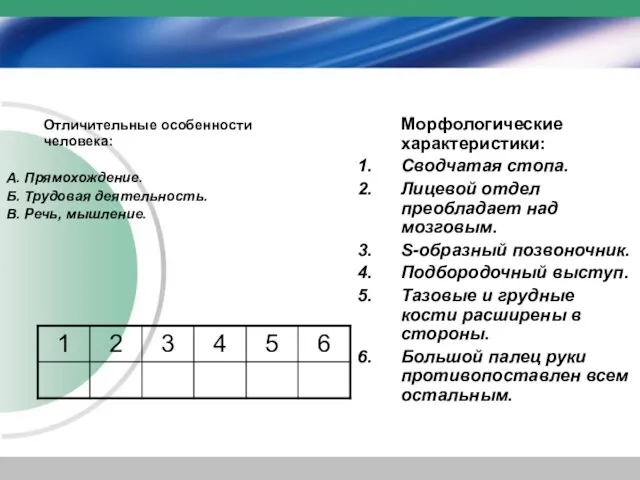 Отличительные особенности человека: А. Прямохождение. Б. Трудовая деятельность. В. Речь, мышление. Морфологические