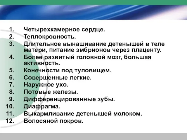 Четырехкамерное сердце. Теплокровность. Длительное вынашивание детенышей в теле матери, питание эмбрионов через