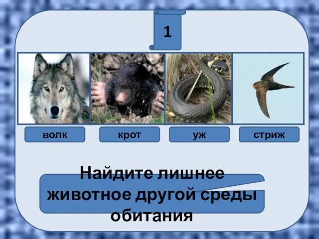 1 Найдите лишнее животное другой среды обитания волк крот уж стриж