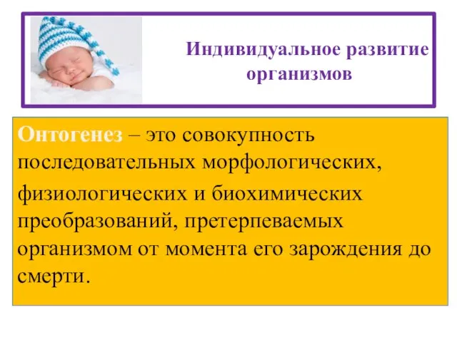 Индивидуальное развитие организмов Онтогенез – это совокупность последовательных морфологических, физиологических и биохимических