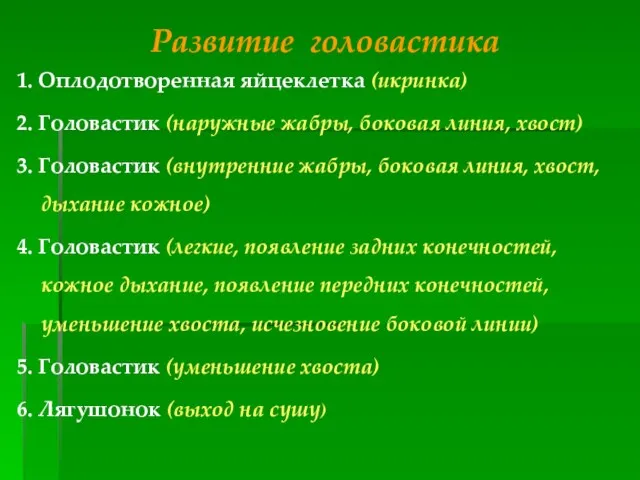 Развитие головастика 1. Оплодотворенная яйцеклетка (икринка) 2. Головастик (наружные жабры, боковая линия,