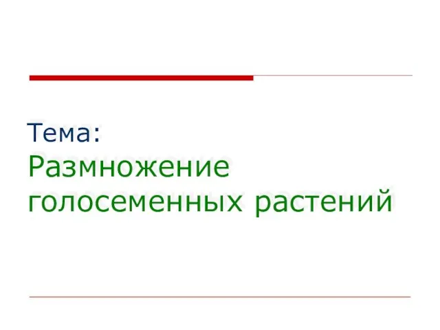 Презентация на тему Размножение голосеменных растений