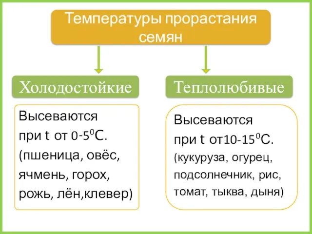 Высеваются при t от 0-50C. (пшеница, овёс, ячмень, горох, рожь, лён,клевер) Температуры